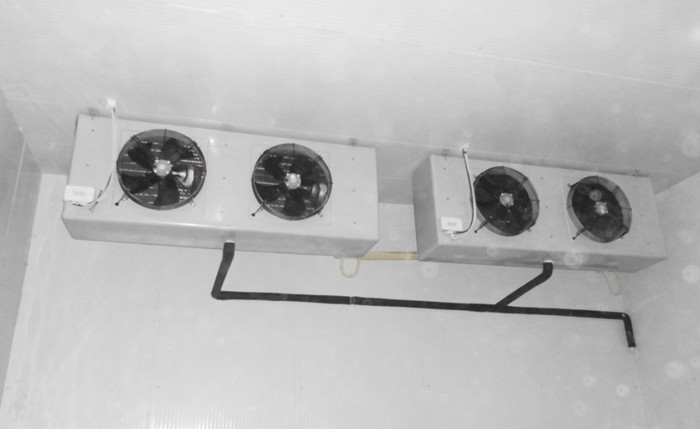 营山冷库工程案例