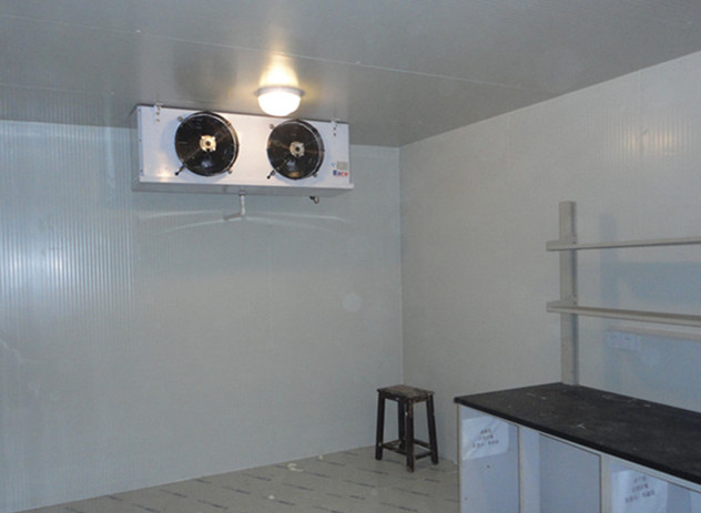 仪陇低温冷库工程案例